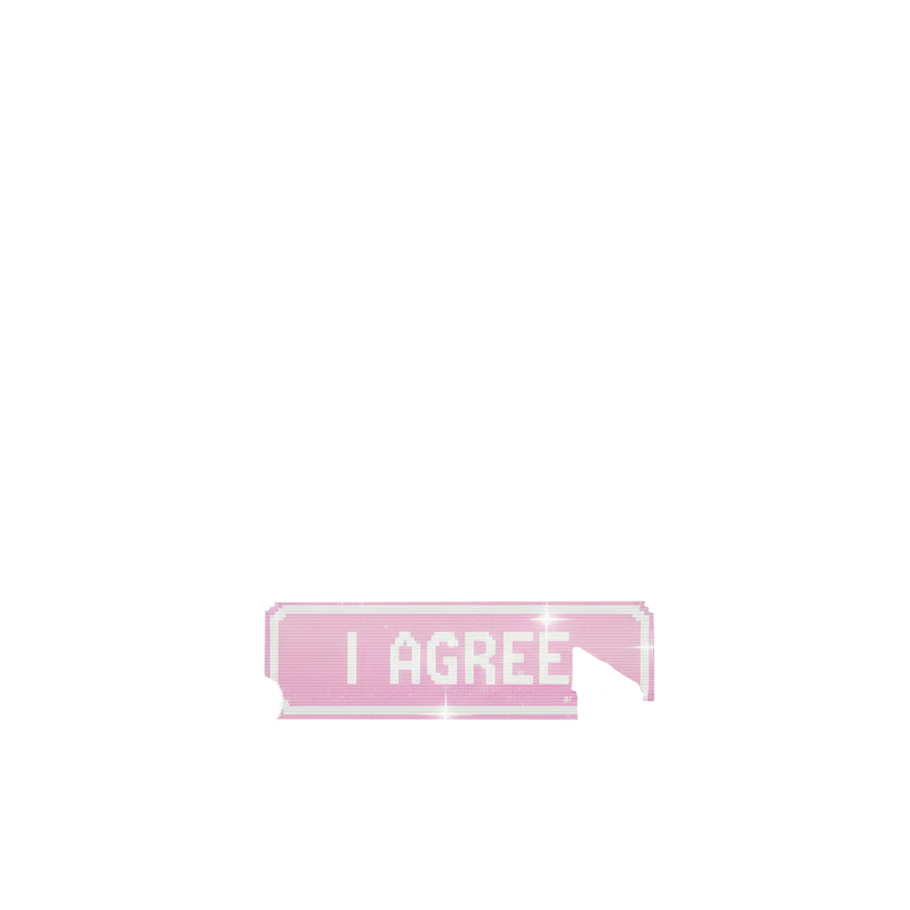 Privacy Agree Button